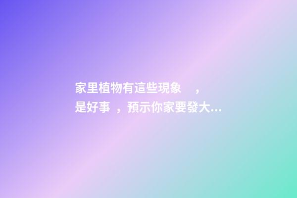 家里植物有這些現象，是好事，預示你家要發大財了！